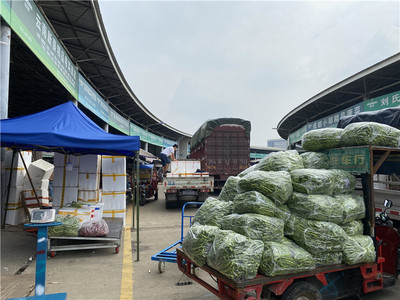 汛期保障市民“菜篮子” 成都两大批发市场日均供应蔬菜12000吨