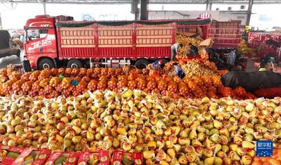 广西柳州:春节临近 水果市场备货忙