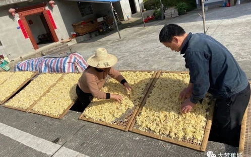 溪边村的 小确幸 看驻村第一书记的4年 注脚