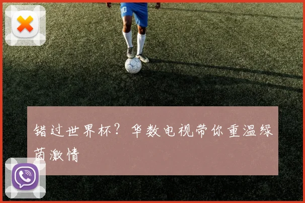 错过世界杯？华数电视带你重温绿茵激情