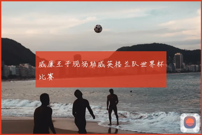 威廉王子现场助威英格兰队世界杯比赛
