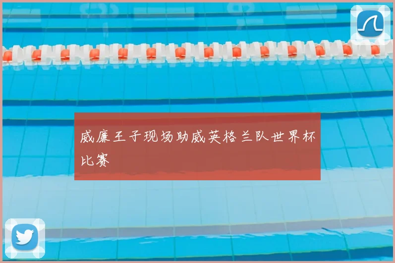 威廉王子现场助威英格兰队世界杯比赛