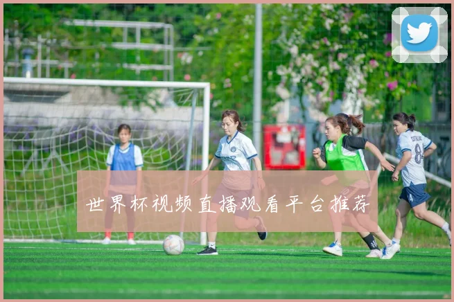 世界杯视频直播观看平台推荐
