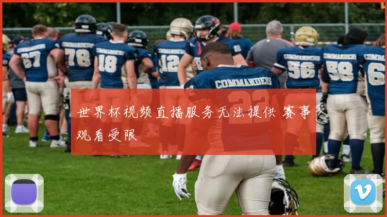 世界杯视频直播服务无法提供 赛事观看受限