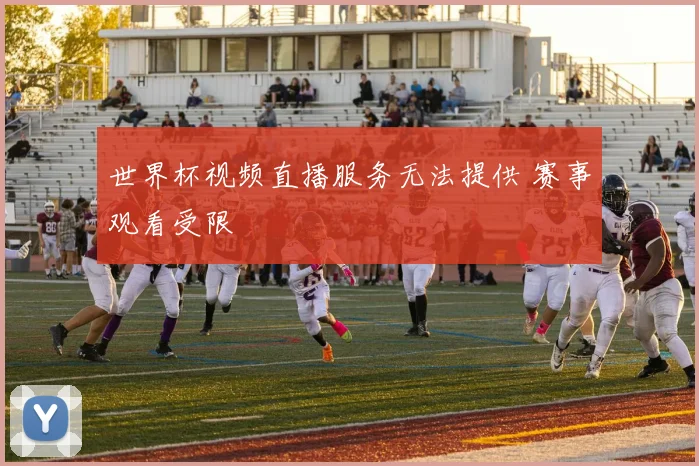 世界杯视频直播服务无法提供 赛事观看受限