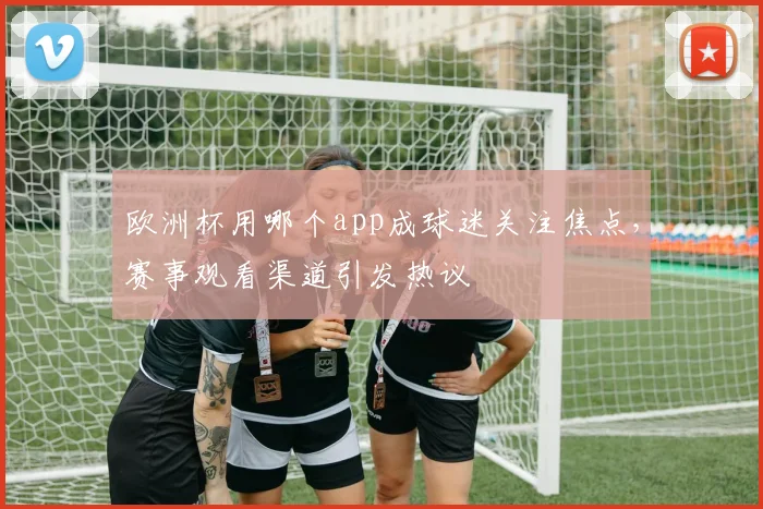 欧洲杯用哪个app成球迷关注焦点，赛事观看渠道引发热议