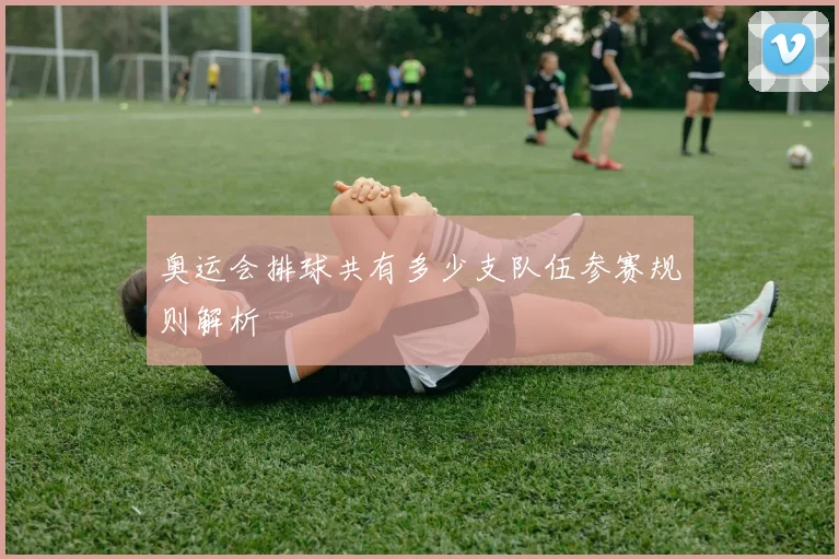 奥运会排球共有多少支队伍参赛规则解析