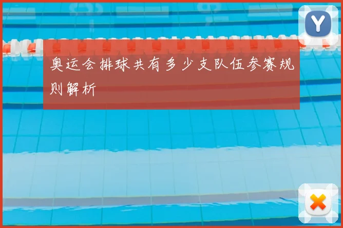 奥运会排球共有多少支队伍参赛规则解析