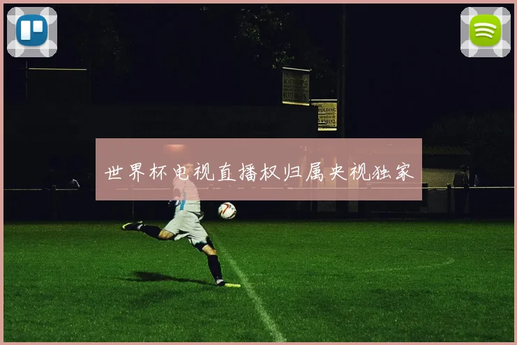 世界杯电视直播权归属央视独家