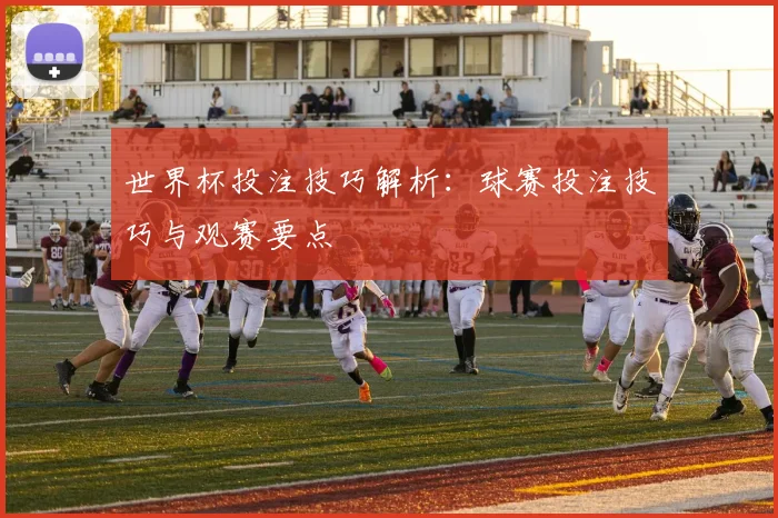 世界杯投注技巧解析：球赛投注技巧与观赛要点